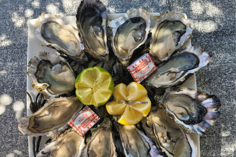 le thiers arcachon - dégustation huitres